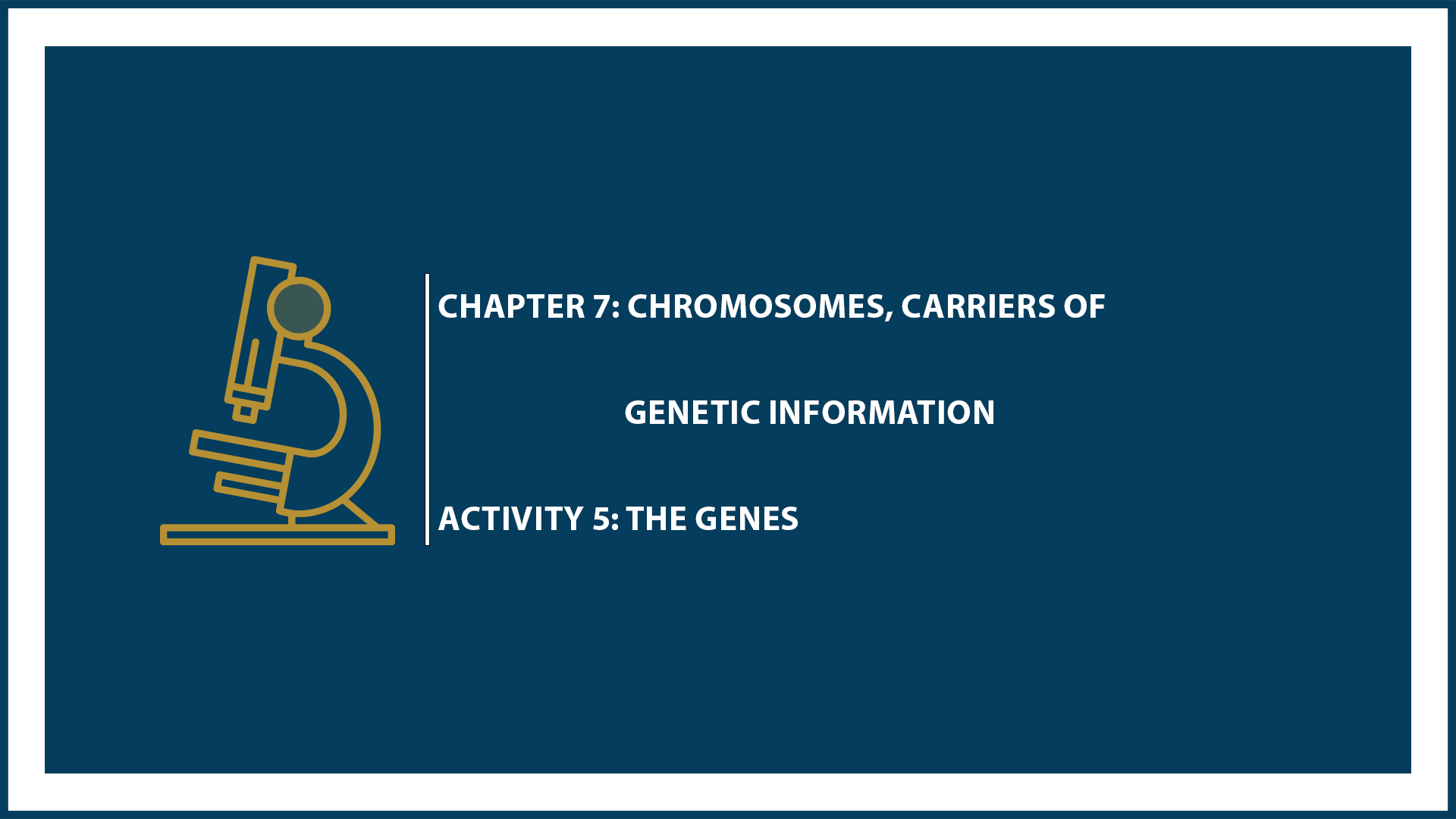 Chapter 7: Activity 5: The genes (Suspended Part)